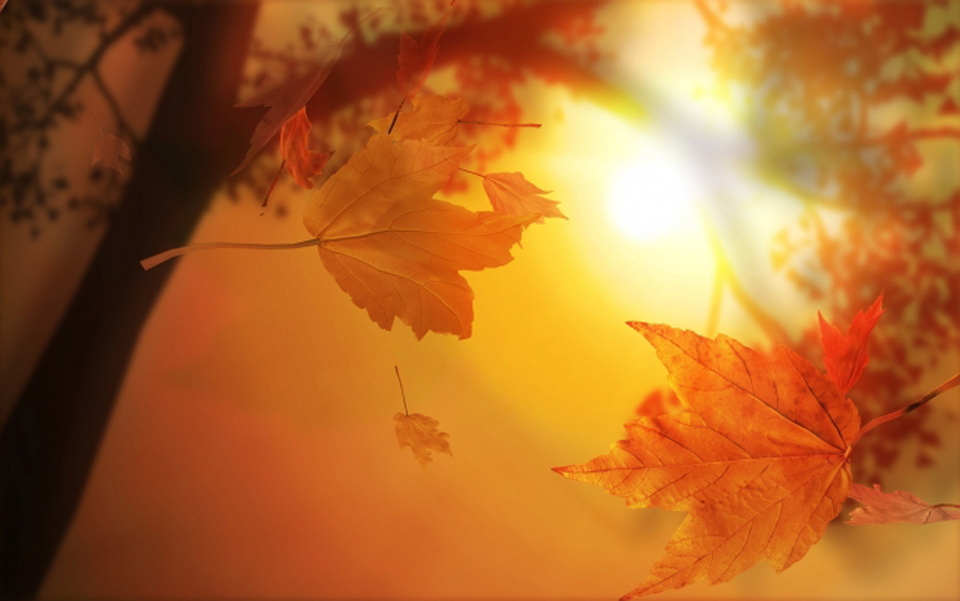 Царевна в листве