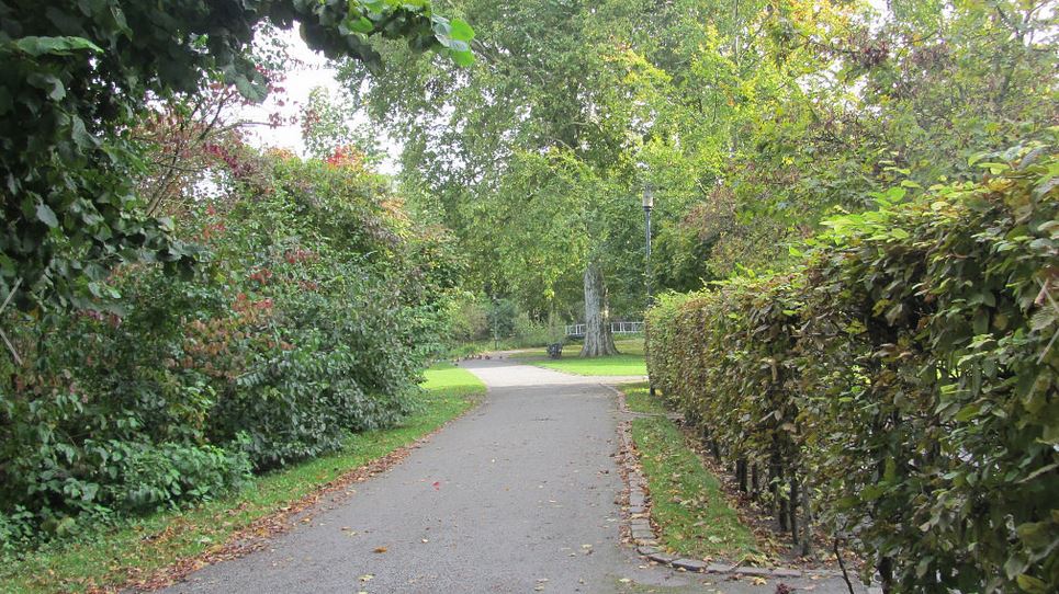 Осень реке шептала