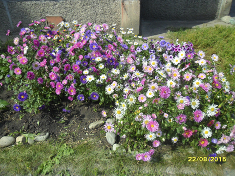 Ночь над городом спустилась...