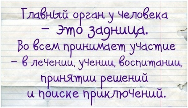 Главный орган у человека