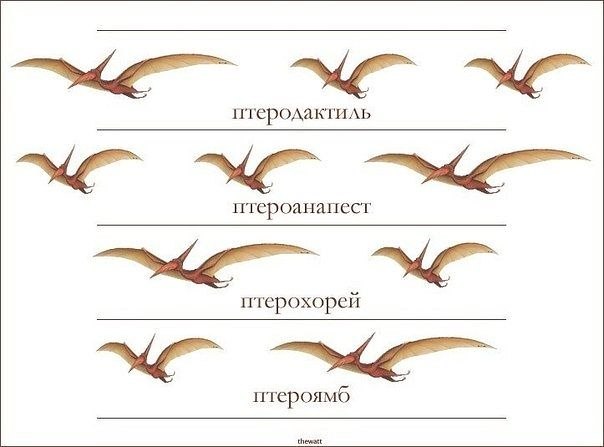 Просто экспромт