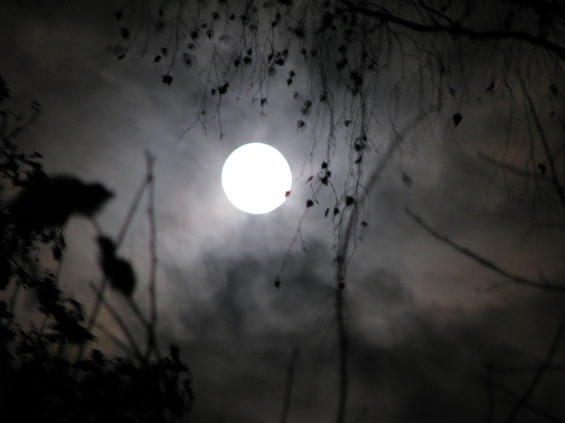 Осенняя Луна Фото