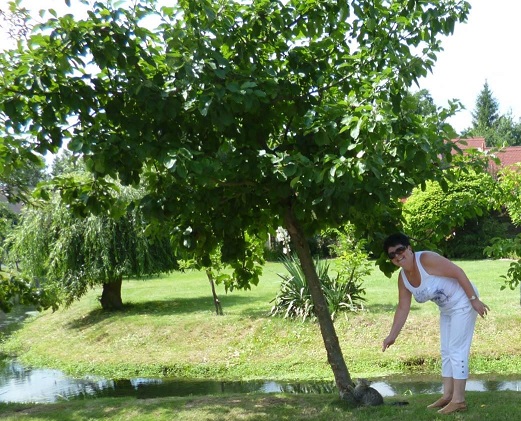 Meine Seele ist jung