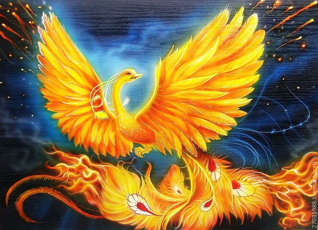 Красивая птица, с глазами печали