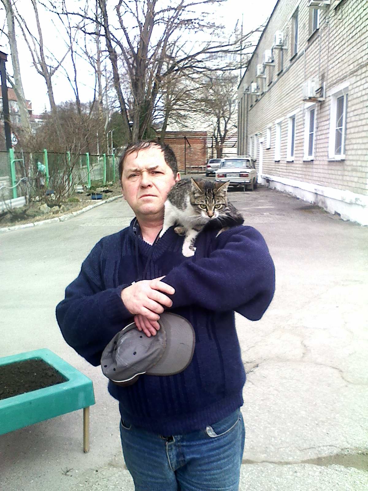 маленькая кошачья серенада-кошачий вальс-