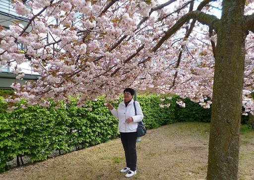 В сердце твоём