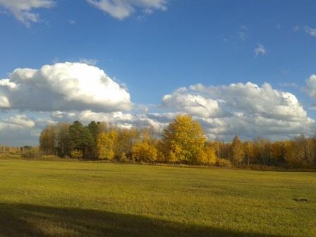 Осенний футбол