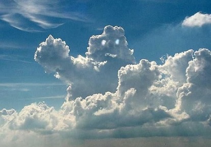 Жертва инкрустации