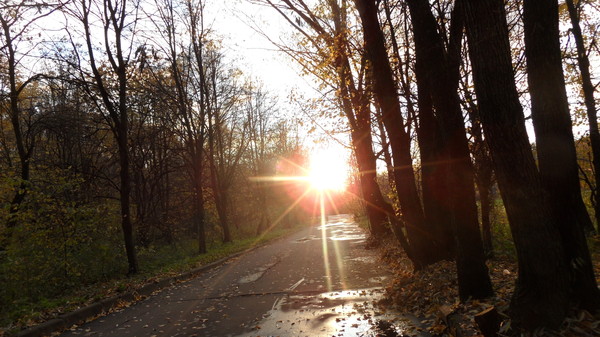 Если с Богом всё - не зря