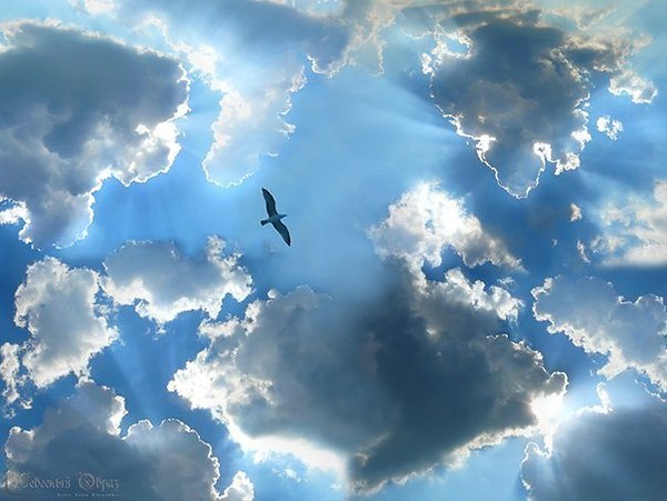 Такой породой!