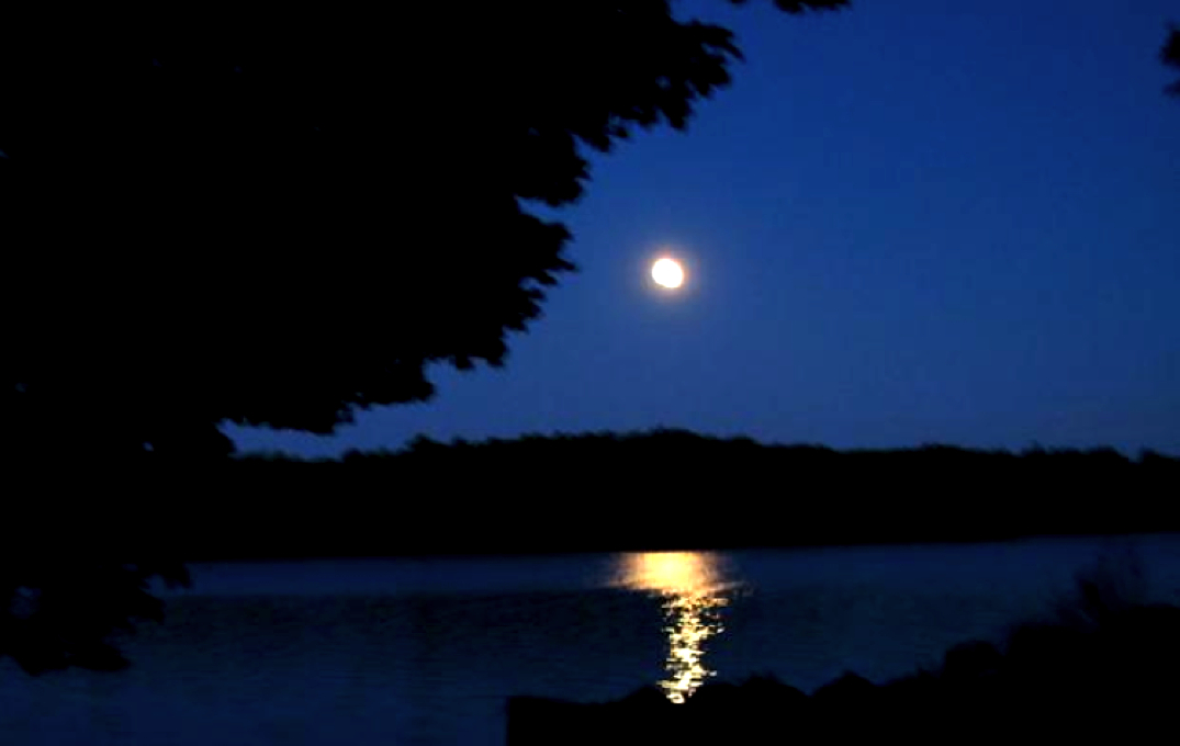 Луна купается. Ночное озеро. Озеро ночью. Река ночью. Летняя ночь на озере.