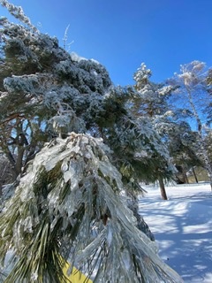 Каприз погоды