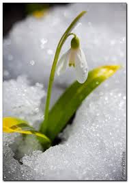 Стихи, как дети