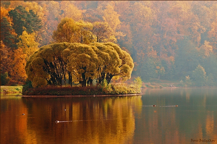 Осень так рано взгрустнула