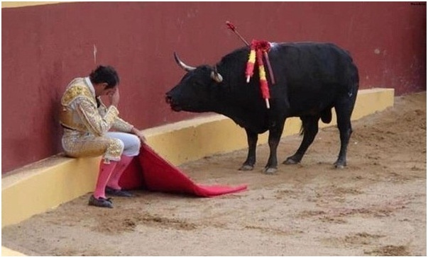 Хоть один понял