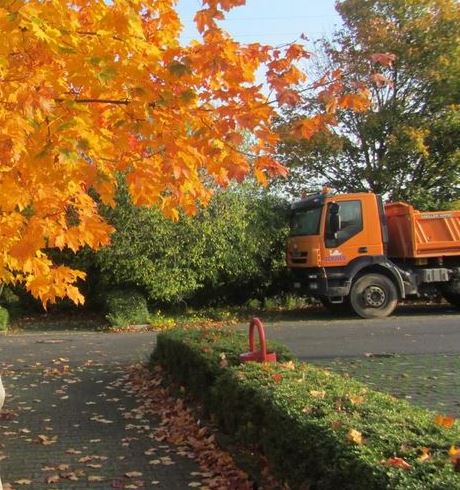Осени бездонные глаза