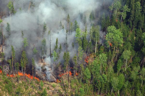 А будем ли мы жить
