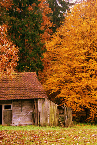 Спешу я в осень с ветерком