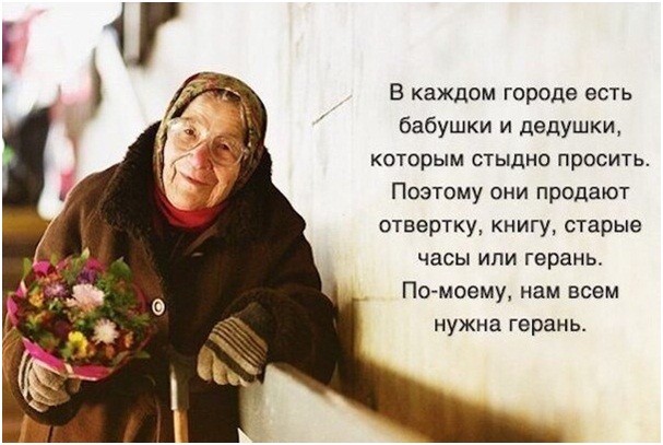 Не надо покупать герань