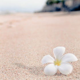 Души прекрасен путь земной