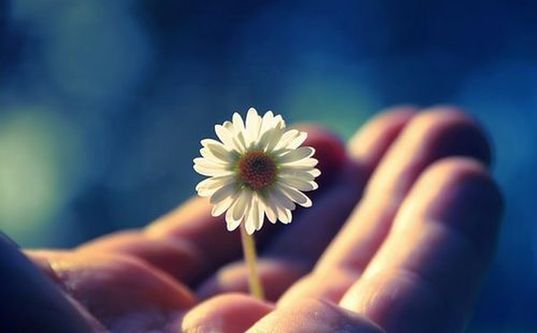 Когда летит в мой адрес злое слово