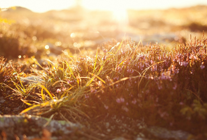 Будьте с Отцом