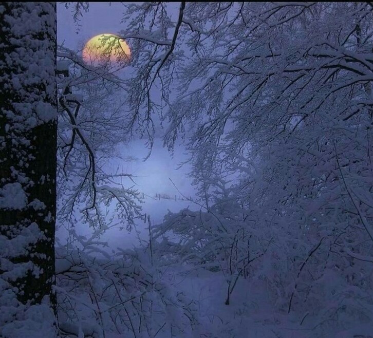 Я сердце отдаю тебе