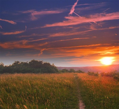 Из разнотравья тропка к Богу