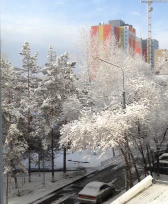 Первый снег