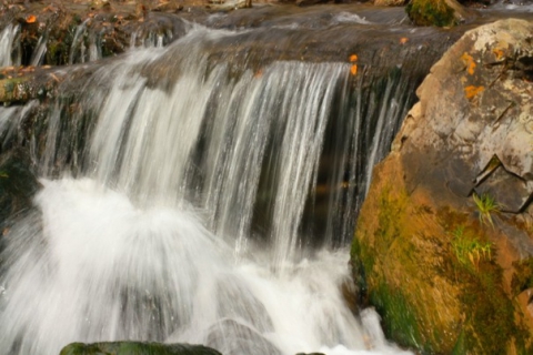 Танго падающей воды. Алексей Тадинов