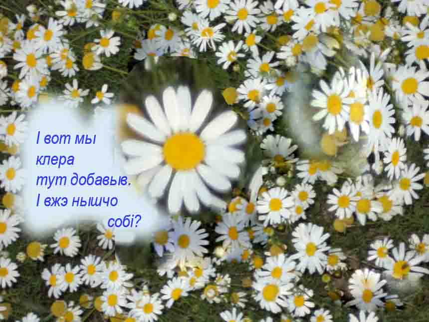 А мы всё о себе забываем