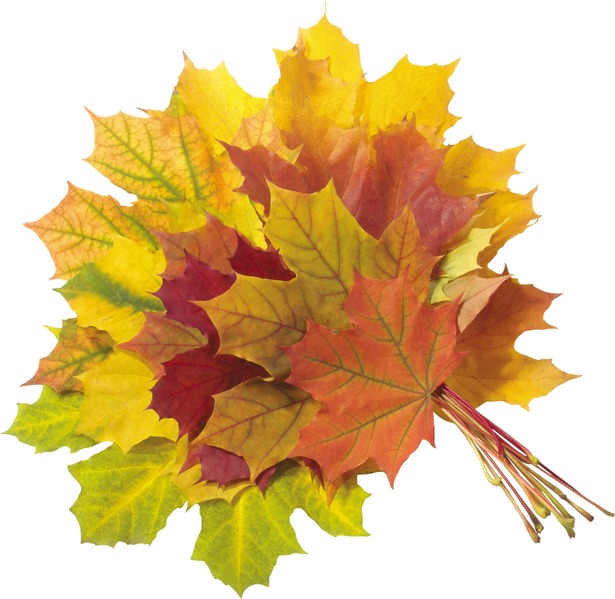 Осенний букет