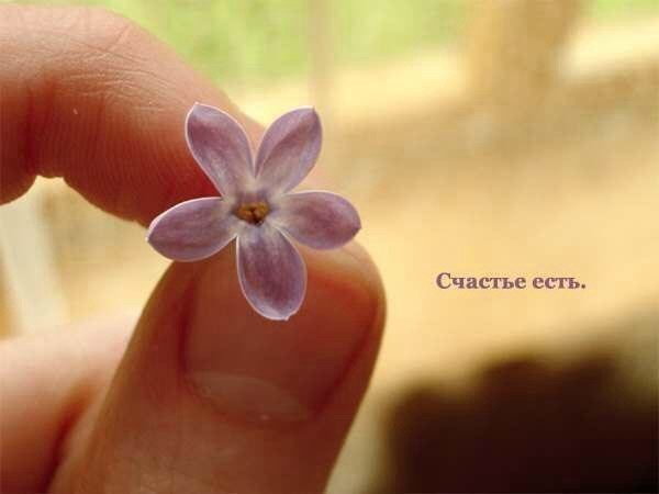 Мне для счастья осталась лишь малость