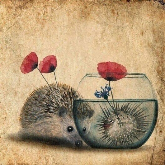 Отражайтесь в любимых глазах