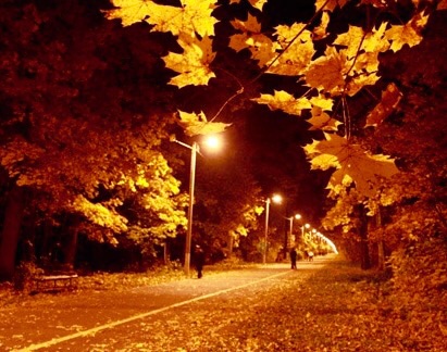 Осенняя Ночь Фото