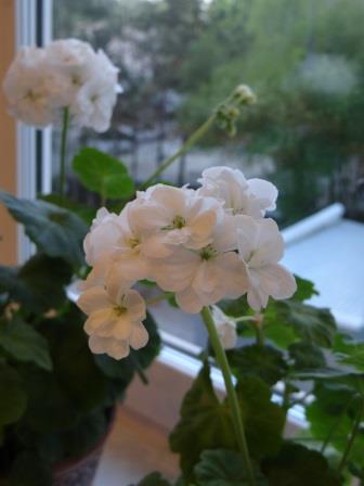 От свечи огарочек