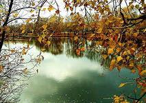 Ничего, что наступила осень!