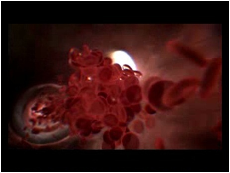 Не сливай мозги в унитаз