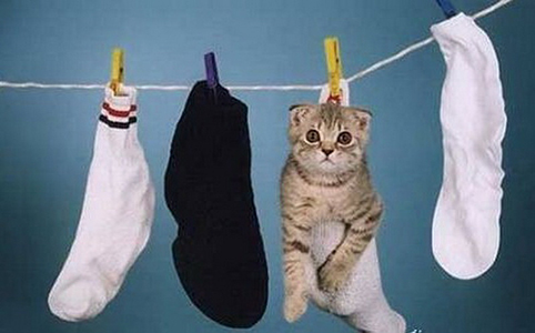 Про котёнка. Детям