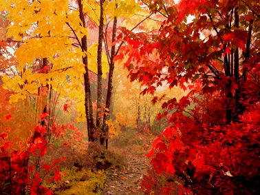 То не мыши шуршат...