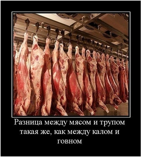 Разница между мясом и трупом