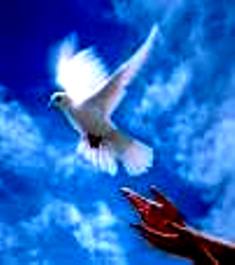 Размышления...