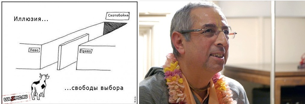 Иллюзия свободы выбора