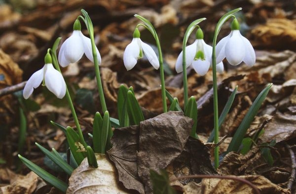 Круговорот