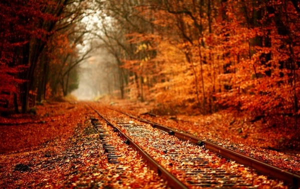 Уходит боль моя по сентябрю