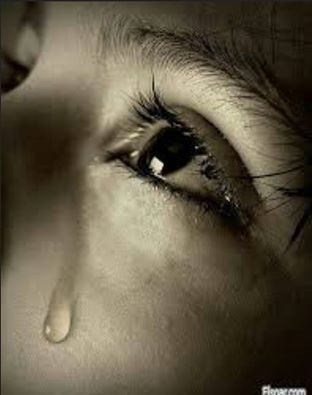 Куда вы летите?