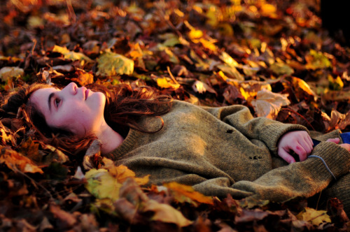 Добро пожаловать в осень