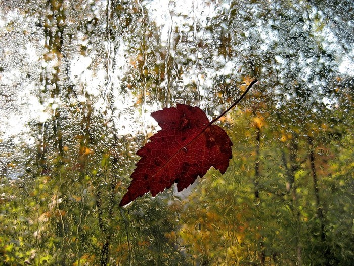 https://stihi.ru/pics/2015/09/21/1878.jpg