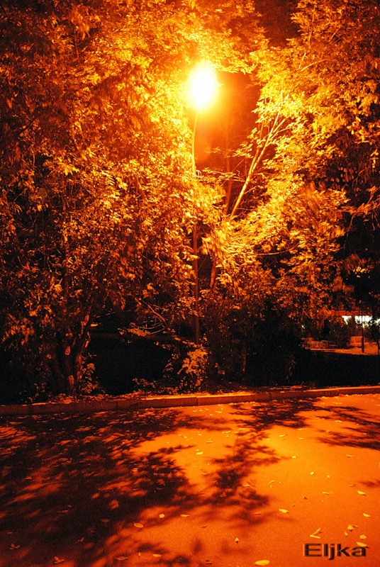 Осенняя ночь