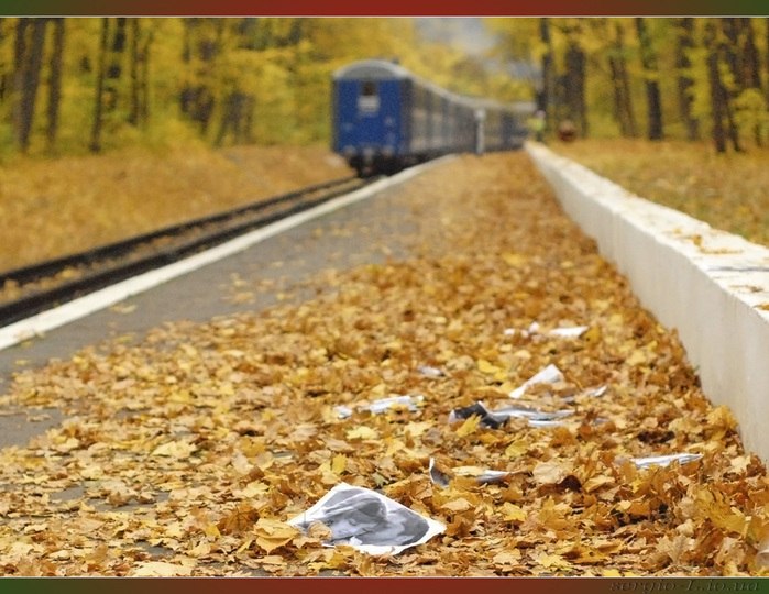 Поезд тронулся. 21. 09. 2015г